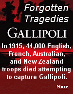 By capturing the Gallipoli Peninsula, the Allies hoped to threaten the Ottoman capital, Constantinople (now Istanbul) and knock the Turks out of the World War.
